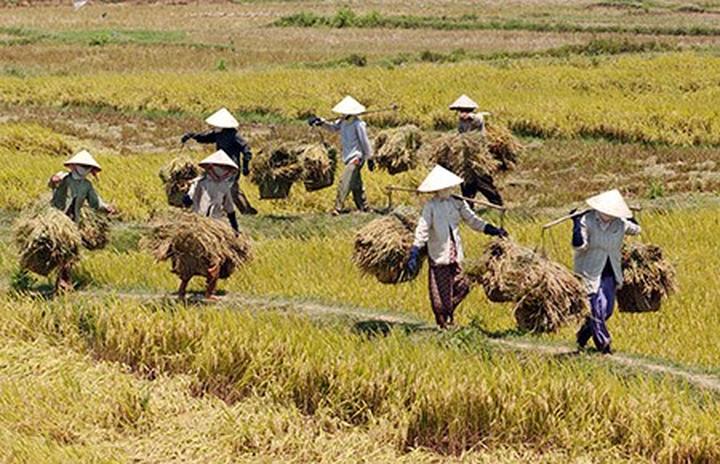 Hotspot Matrix: Đòn Bẩy Tiếp Cận Khách Hàng Cho Người Tư Vấn Tài Chính