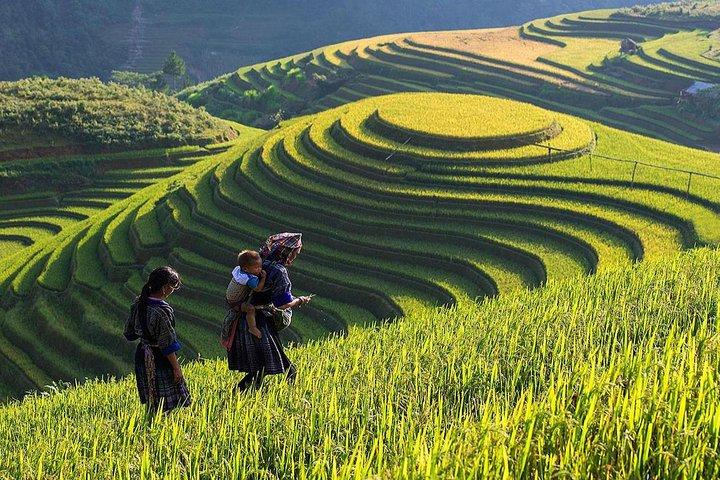 Từ Gần 300 bé mẫu giáo