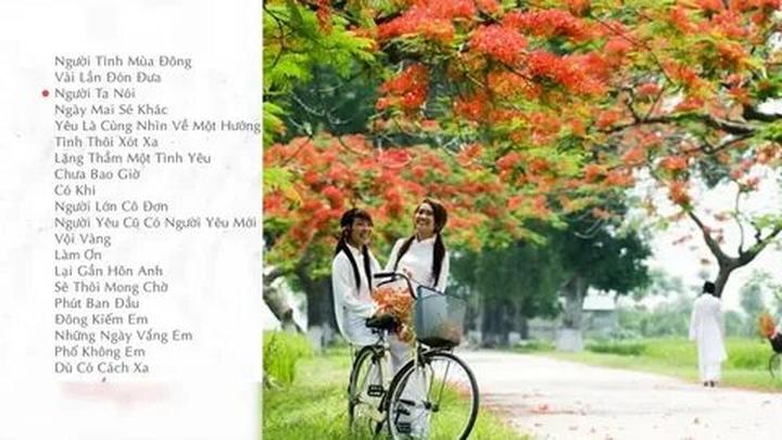 Triệu View Từ Vlog Thú Cưng: Bí Quyết Thành Công Cùng Hotspot Matrix
