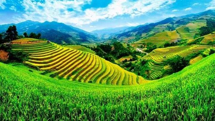 Hotspot Matrix: Cánh cửa mới cho Nghệ nhân Thủ công